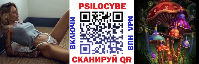 купить   Бийск  Галлюциногенные грибы Cubensis 